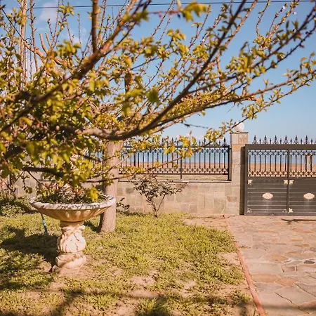 Olga Sea Front - Happy Willa *