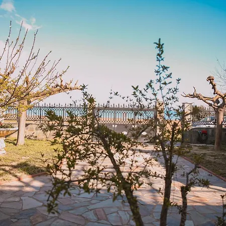 Olga Sea Front - Happy * Katákolo